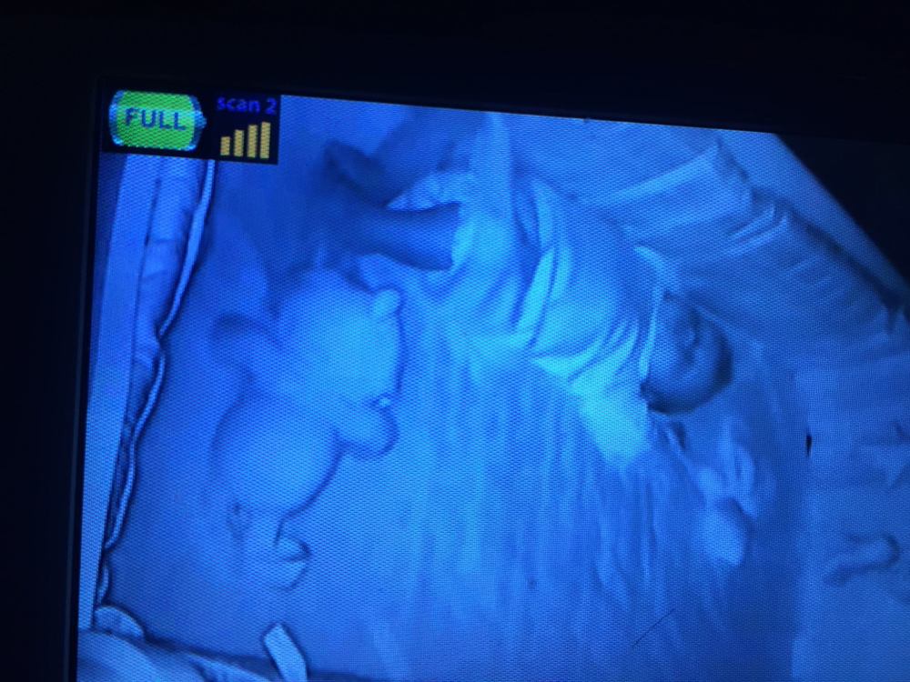 11700628_10207119725215248_3732188197465692743_o